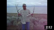 Antelope Island Shed Hunting