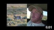 Huge Colorado Antelope - HOTW #39