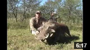Kregg's African Warthog - HOTW #19