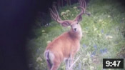 Monster Muley Found! - Founder's Webcast