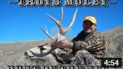 Mule Deer Hunt - HOTW #8