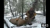 Recurve Elk Hunt Success - HOTW #18