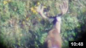 Wyoming Archery Opener 2014 - Big Buck Found! - Founder's Webcast